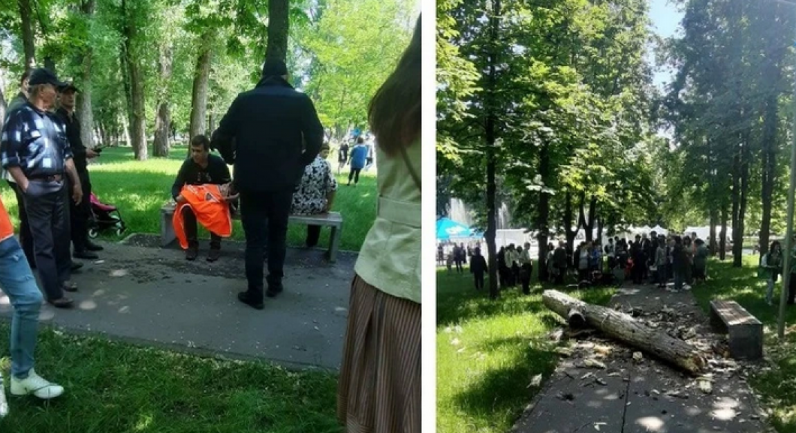 Случай в парке. Родители ребенка на которого упало дерево. Упало дерево на сочинской.