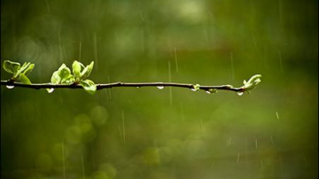 9 марта в Молдове возможны дожди