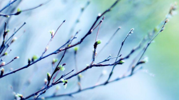 Синоптики рассказали, когда ждать потепления