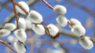 Минувший февраль стал самым теплым в Молдове за последние сто лет