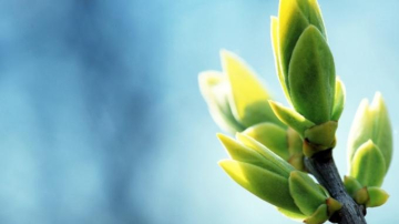 До 15 градусов тепла будет в Молдове 18 марта