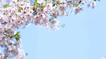 Рабочая неделя в Молдове закончится теплой погодой