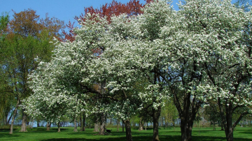 "Prierul" aduce temperaturi generoase în termometre