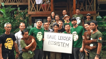 Леонардо ди Каприо выступил против пальмового масла