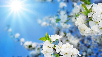 Синоптики рассказали о погоде на ближайшие дни