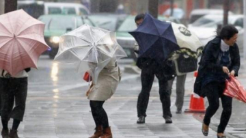 Объявлен желтый код метеоопасности в связи усилением ветра