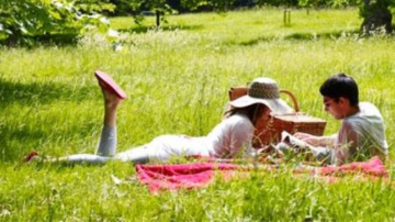 "Молдсилва" рекомендует две недели не отдыхать в лесах