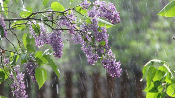 По всей Молдове пройдут сильные кратковременные дожди