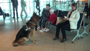 Un câine dresat felicită pasagerii de pe Aeroportul Chişinău cu ocazia Paştelui