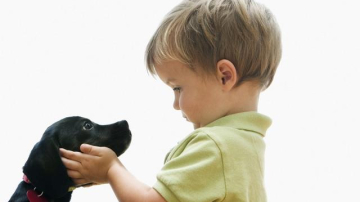 Cum să alegem un animal de companie și de unde să îl cumpărăm? O trecere în revistă a magazinelor zoologice din Chișinău