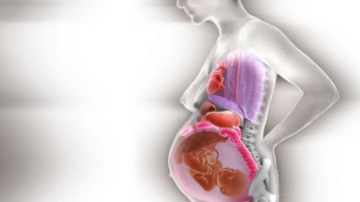 Ce se întâmplă cu organele interne ale femeii în timpul sarcinii