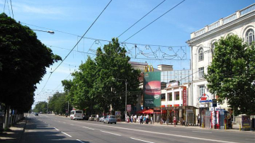 280 de arbori de pe bd. Ștefan cel Mare trebuie să fie defrișați