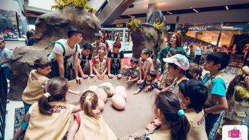 Fiorosul Tyrannosaurus Rex, regele dinozaurilor