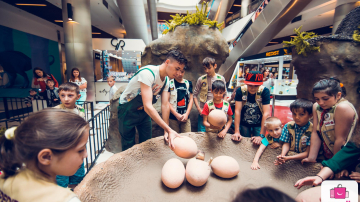 Ouăle de dinozaur, relicvele vieții preistorice