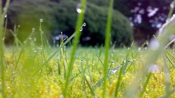 Timpul se răcește considerabil