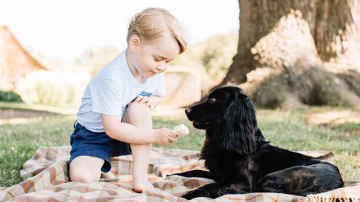 С днем рождения, принц Джордж: четыре новых официальных портрета