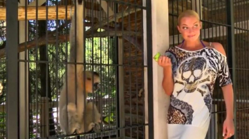 Волочкова побеседовала с обезьяной о моде и шпагатах