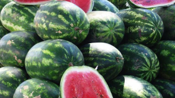 Sfaturi preţioase oferite de cunoscători: Cum să alegem corect un pepene verde copt