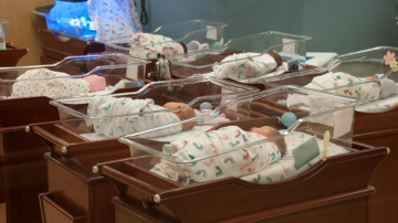 Плач младенца зависит от языка матери