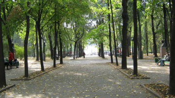 Toamna începe cu temperaturi generoase