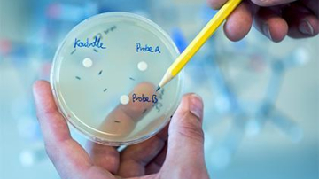 Определена главная опасность антибиотиков