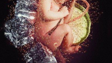 Riscurile consumului de alcool in timpul sarcinii