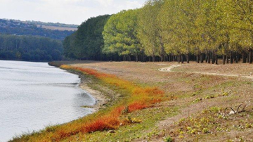 Cod galben de secetă și incendii, valabil pînă la 20 septembrie