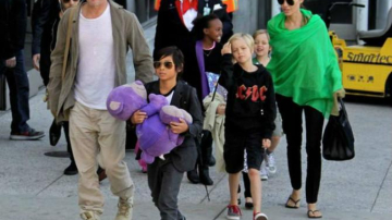 Таблоиды строят теории о судьбе шестерых детей Анджелины Джоли и Брэда Питта