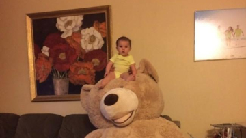 Посмотрите, какого огромного медведя дедушка купил своей внучке