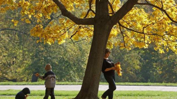 Vreme frumoasă, în ultima zi lucrătoare din săptămînă