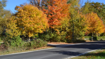 Сегодня нас ждет весенняя погода