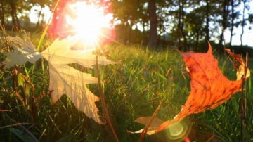 В Молдове продолжает теплеть