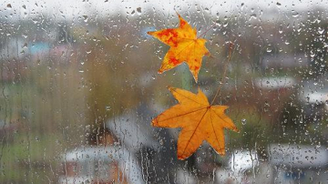 В Молдову возвращаются дожди