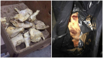 Alimente ce urmau să ajungă în grădinițe: pe jos și expirate