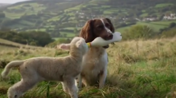 Master-class de bunătate sau copii străini nu există