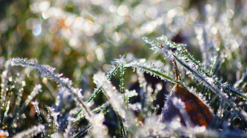 Сегодня температура воздуха будет на три градуса ниже нормы