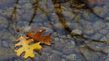 Vremea se încălzește