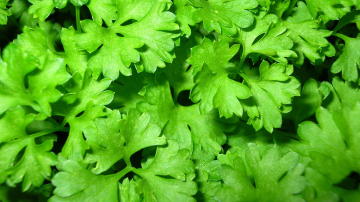 Scăpați de lichidele în plus din organism