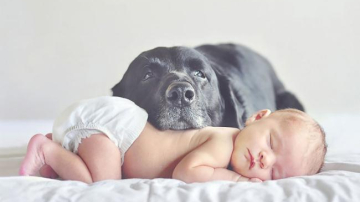 Cобака может избавить ребенка от страхов