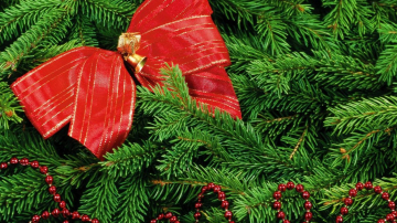 Cum ții bradul de Crăciun verde săptămîni in șir