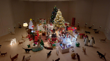 Кошки тоже хотят праздника!