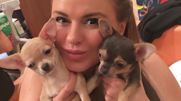 Анна Семенович откровенно рассказала, почему не стала мамой