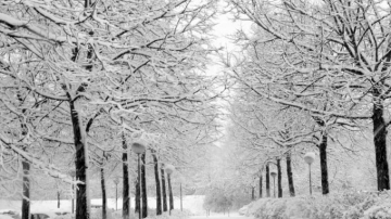 Cod portocaliu și cod galben în toată țara