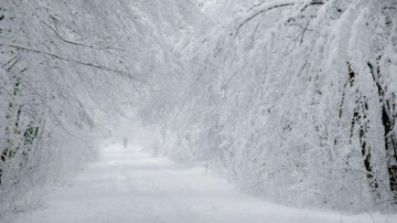 Codul galben intră în vigoare: se așteaptă ninsori puternice