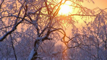 Vremea se încălzește