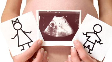 Пол ребенка можно будет определить в день зачатия