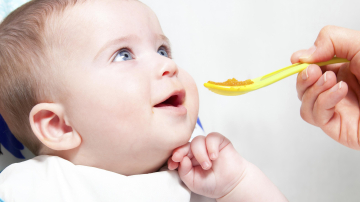 5 интересных фактов о прикорме