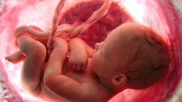 Условия в утробе матери влияют на развитие мозга в подростковом возрасте