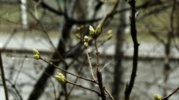 Февраль в Молдове будет самым теплым месяцем зимы