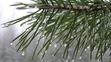 Vremea începe a se încălzi